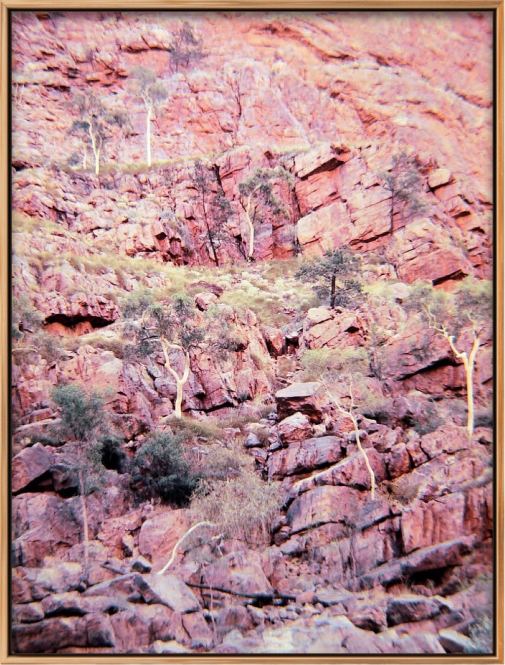 'SIMPSONS GAP 2' 1981 IAN R. JARDINE LIMITED EDITION FRAMED CANVAS PRINT