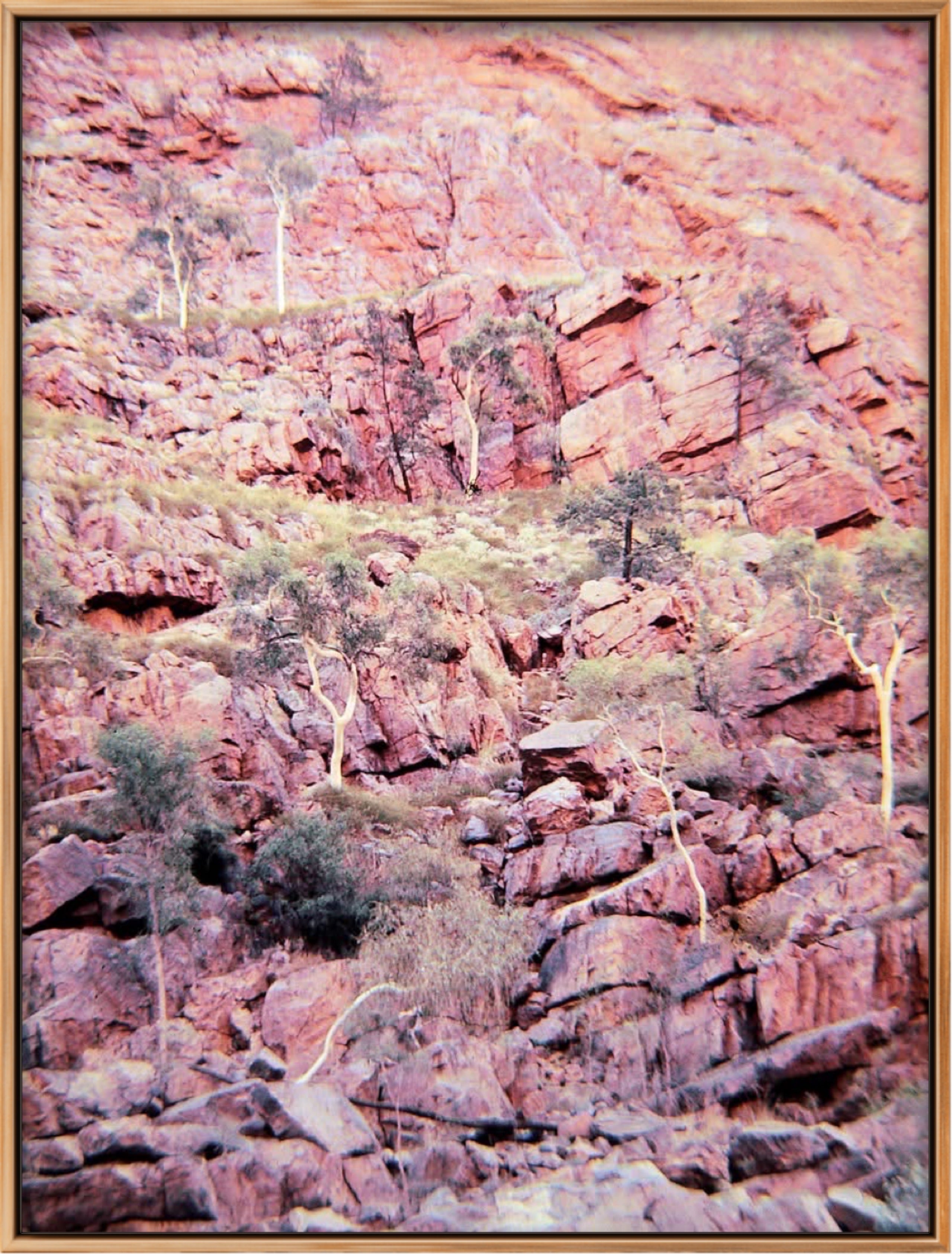 'SIMPSONS GAP 2' 1981 IAN R. JARDINE LIMITED EDITION FRAMED CANVAS PRINT