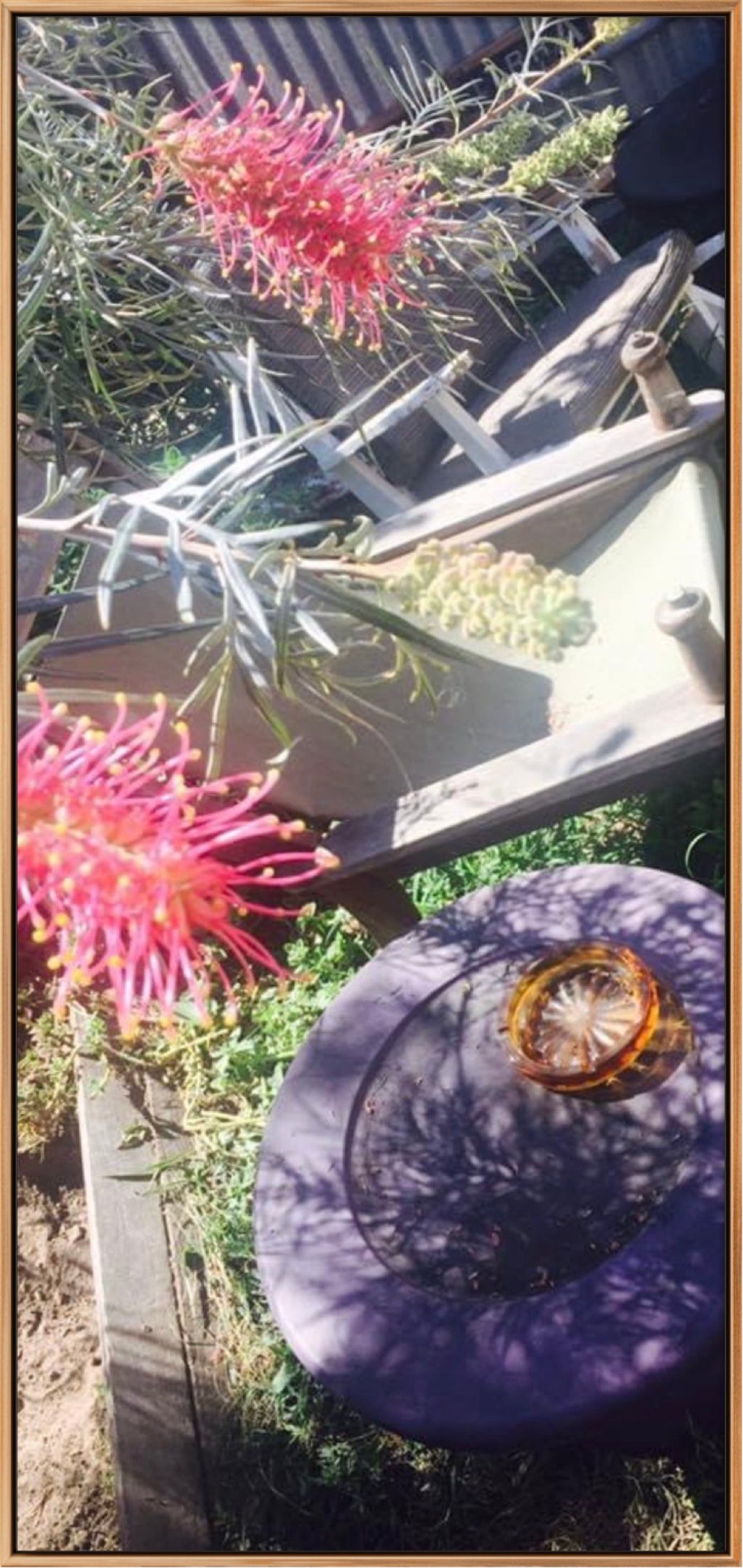 SMOKO LIMITED EDITION SIGNED PHOTOGRAPHIC PRINT