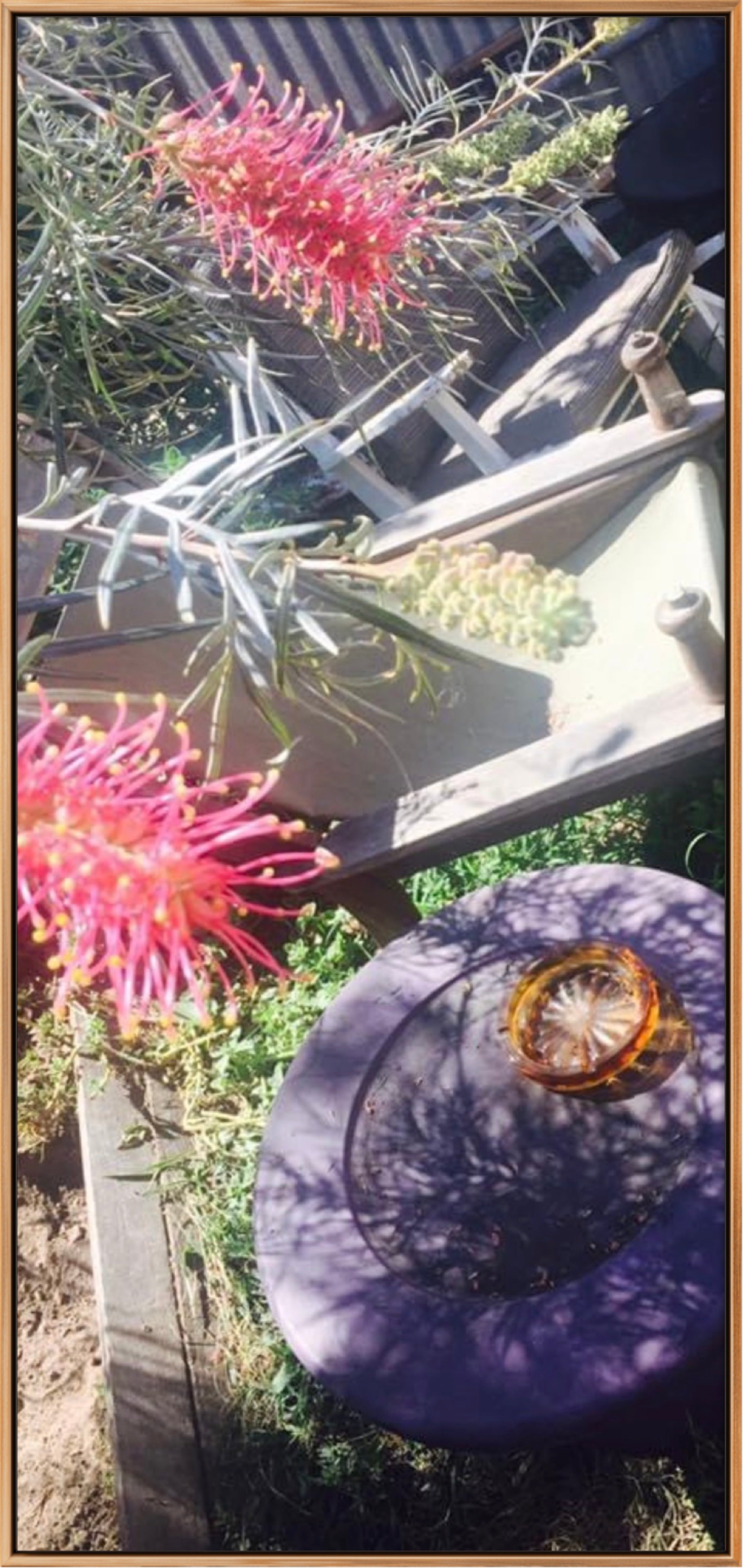 SMOKO LIMITED EDITION SIGNED PHOTOGRAPHIC PRINT