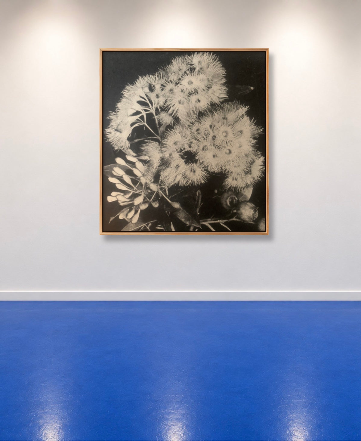 'FORGOTTEN BLOSSOMS’ MELANI DU JARDIN LIMITED EDITION SIGNED & FRAMED CANVAS PHOTOGRAPHIC PRINT 106 X106 CM