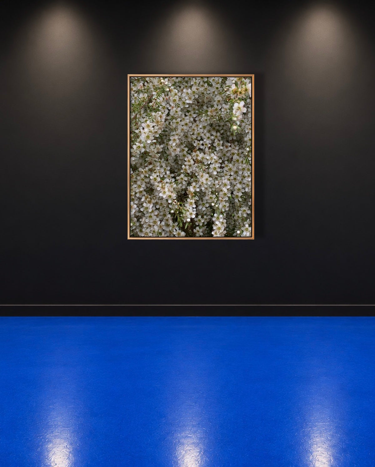 'BUZZED' MELANI DU JARDIN LIMITED EDITION SIGNED FRAMED CANVAS PHOTOGRAPHIC PRINT 106 X 157 CM