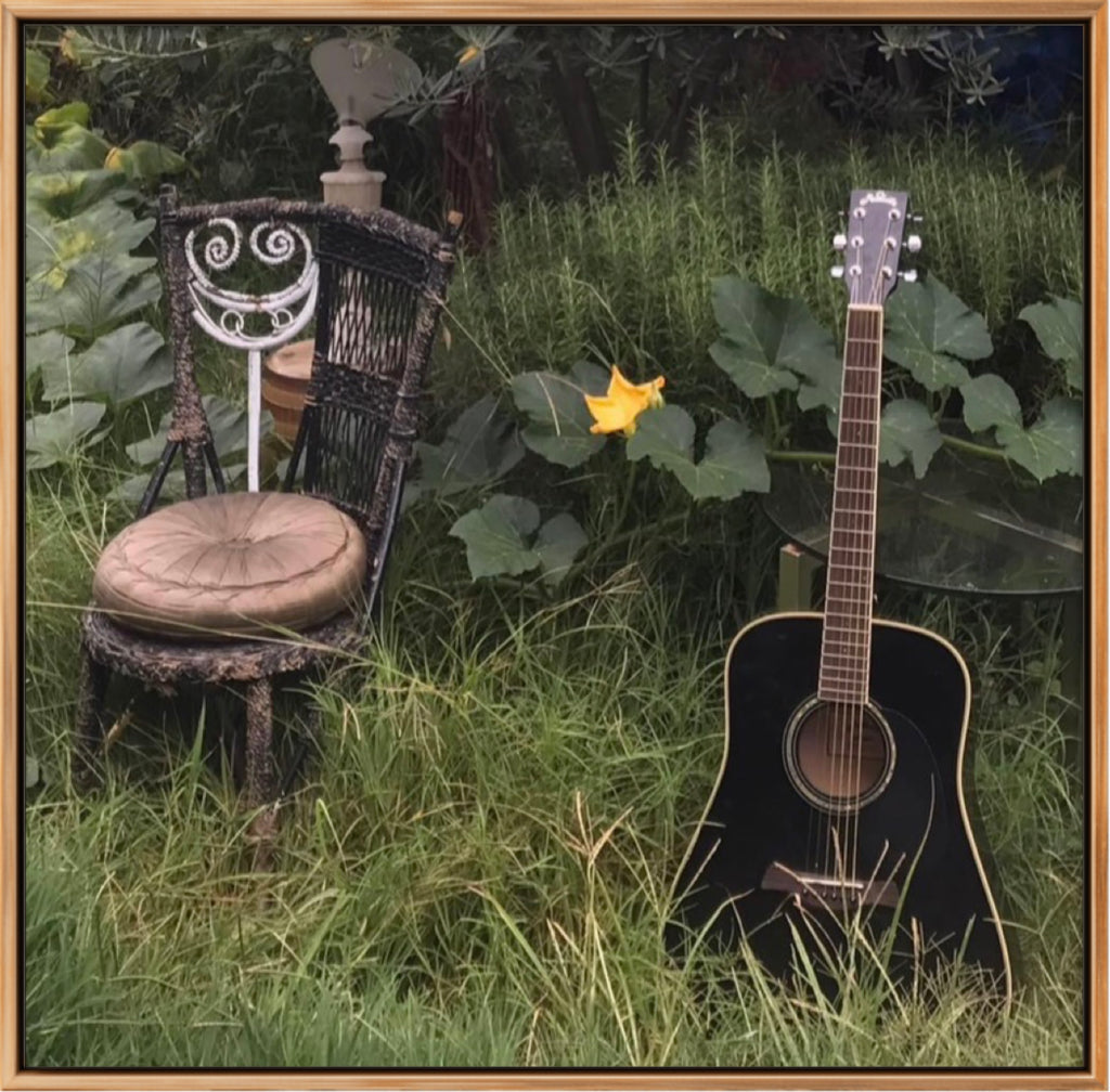 SERENADE OF THE PUMPKIN FLOWER LIMITED EDITION SIGNED PHOTOGRAPHIC PRINT