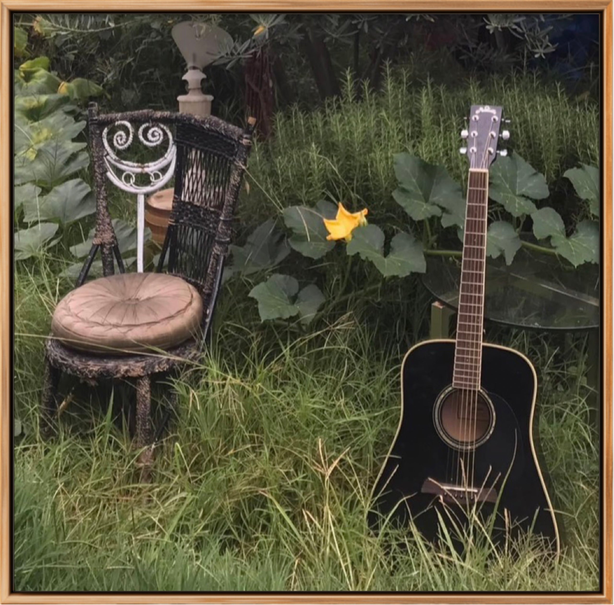 SERENADE OF THE PUMPKIN FLOWER LIMITED EDITION SIGNED PHOTOGRAPHIC PRINT