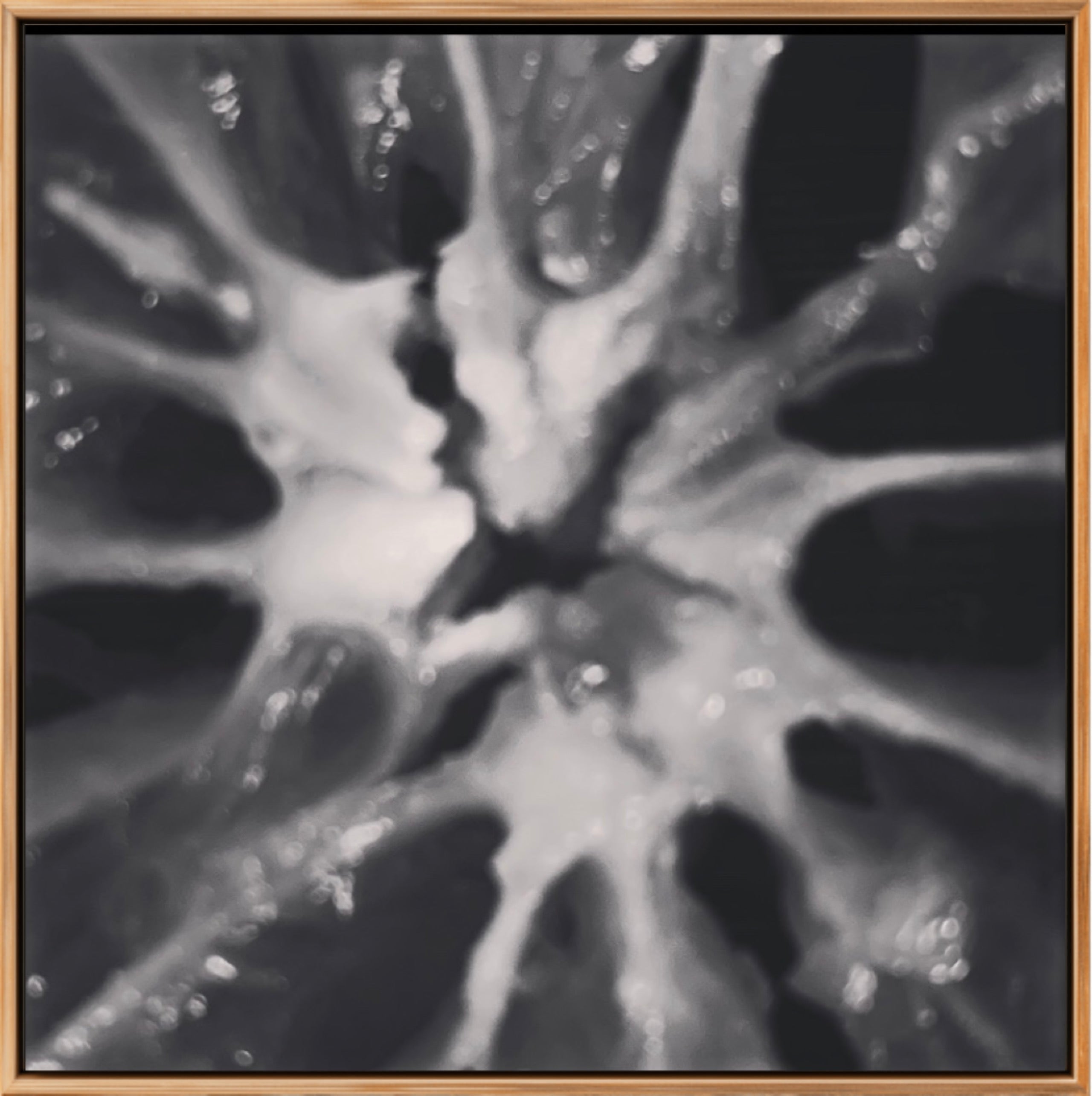PITH LIMITED EDITION SIGNED PHOTOGRAPHIC PRINT